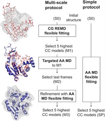 Multi-Scale Flexible Fitting of Proteins to Cryo-EM Density Maps at Medium Resolution